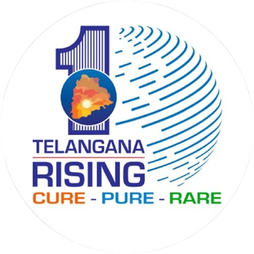 Govt Rising Logo